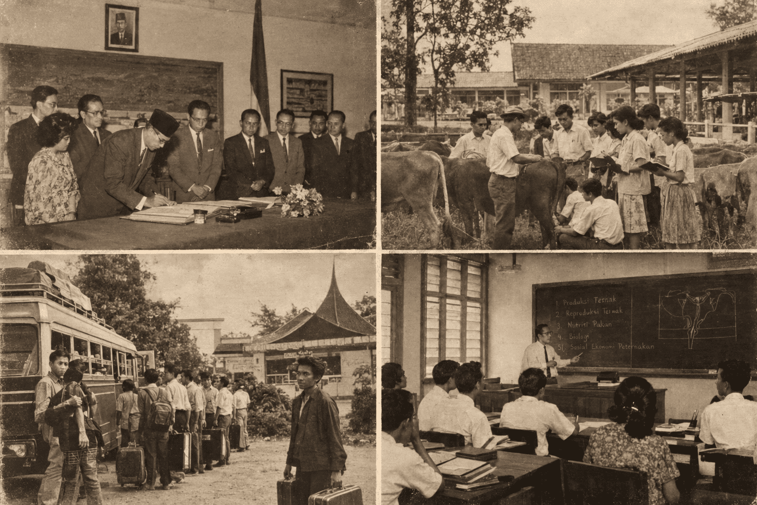 Kolase Arsip Fakultas Peternakan Klasik 1